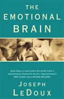 Creierul emoțional - Emotional Brain