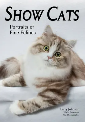 Show Cats: Portrete de feline frumoase - Show Cats: Portraits of Fine Felines