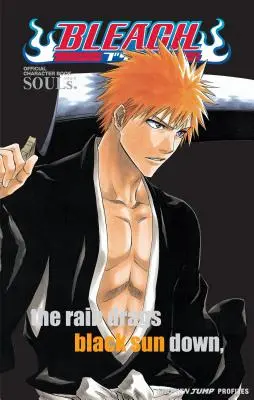 Bleach: Souls. Cartea oficială a personajelor [Cu autocolante] - Bleach: Souls. Official Character Book [With Stickers]