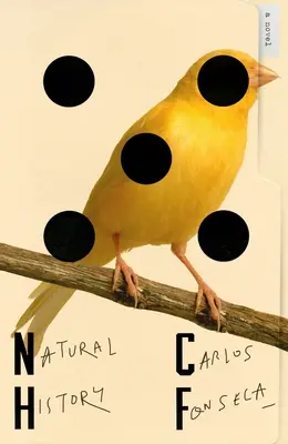 Istoria naturală - Natural History
