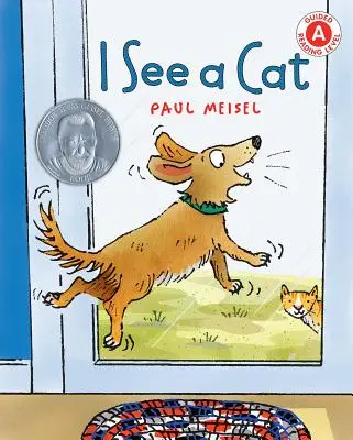 Văd o pisică - I See a Cat