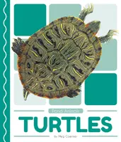 Țestoasele - Turtles