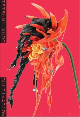 Tetsumi Kudo: Cultivare - Tetsumi Kudo: Cultivation