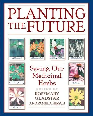 Plantarea viitorului: Salvarea ierburilor noastre medicinale - Planting the Future: Saving Our Medicinal Herbs