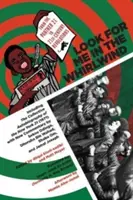 Look for Me in the Whirlwind: De la Panther 21 la revoluțiile secolului XXI - Look for Me in the Whirlwind: From the Panther 21 to 21st-Century Revolutions