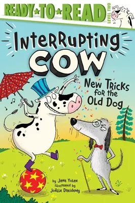 Trucuri noi pentru câinele bătrân - New Tricks for the Old Dog