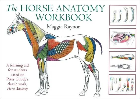 Manualul de anatomie a calului: Un ajutor de învățare pentru studenți bazat pe lucrarea clasică a lui Peter Goody, Horse Anatomy - The Horse Anatomy Workbook: A Learning Aid for Students Based on Peter Goody's Classic Work, Horse Anatomy