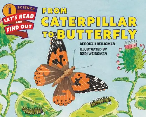 De la omidă la fluture - From Caterpillar to Butterfly