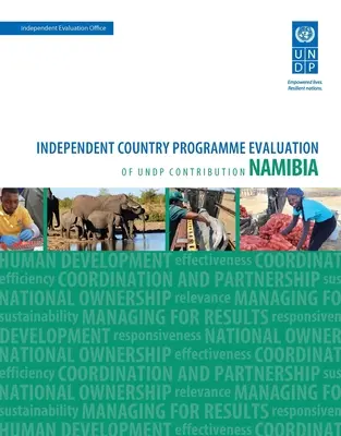 Evaluarea rezultatelor în materie de dezvoltare - Namibia: Evaluarea independentă a programului de țară privind contribuția Undp - Assessment of Development Results - Namibia: Independent Country Programme Evaluation of Undp Contribution