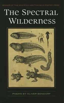 Sălbăticia spectrală - The Spectral Wilderness