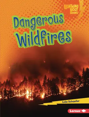 Incendii de vegetație periculoase - Dangerous Wildfires