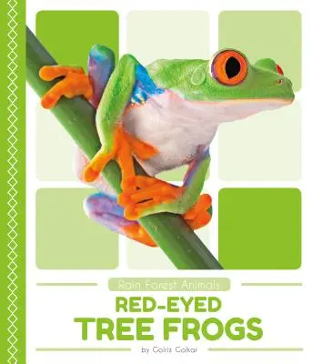 Broaște de copac cu ochi roșii - Red-Eyed Tree Frogs
