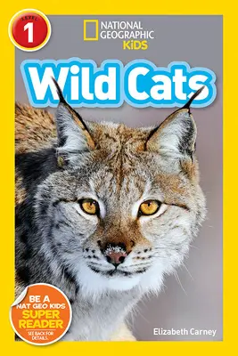 Pisici sălbatice - Wild Cats