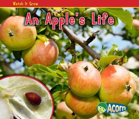Viața unui măr - An Apple's Life
