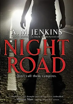 Drumul de Noapte - Night Road