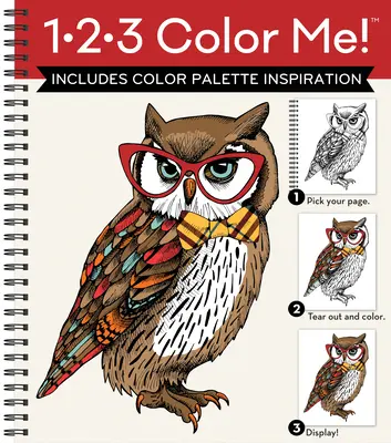 1-2-3 Color Me! (Carte de colorat pentru adulți cu o varietate de imagini - copertă de bufniță) - 1-2-3 Color Me! (Adult Coloring Book with a Variety of Images - Owl Cover)
