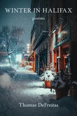 Iarna în Halifax - Winter in Halifax