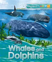 Exploratori: Balene și delfini - Explorers: Whales and Dolphins