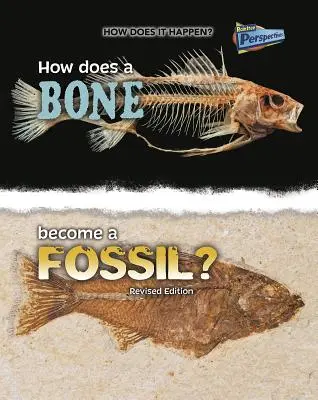 Cum devine un os un fosil? - How Does a Bone Become a Fossil?