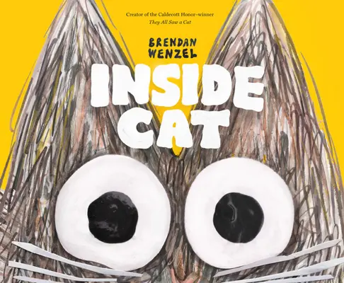 Pisica din interior - Inside Cat