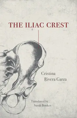 Creasta iliacă - The Iliac Crest