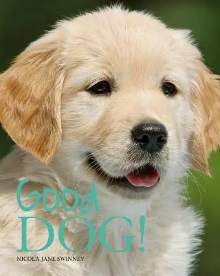Câine bun! - Good Dog!