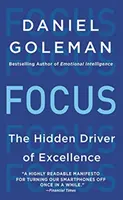 Focus - Motorul ascuns al excelenței - Focus - The Hidden Driver of Excellence