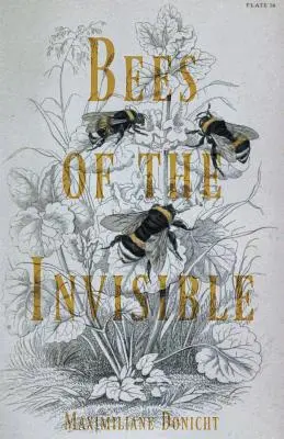 Albinele invizibilului (Bees of the Invisible) - Bees of the Invisible