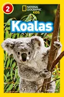 Koala - Nivelul 2 - Koalas - Level 2