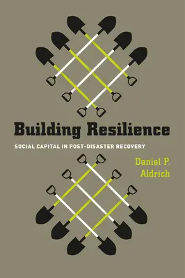 Construirea rezilienței: Capitalul social în recuperarea post-dezastru - Building Resilience: Social Capital in Post-Disaster Recovery