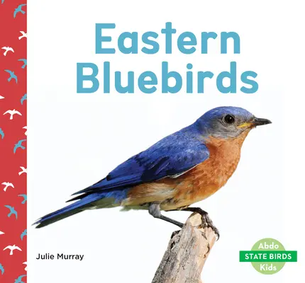 Pasărea albastră de est - Eastern Bluebirds