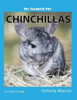 Animalul meu preferat: Chinchilla - My Favorite Pet: Chinchillas