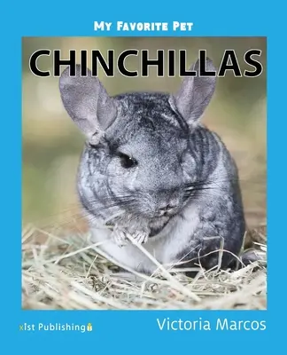 Animalul meu preferat: Chinchilla - My Favorite Pet: Chinchillas