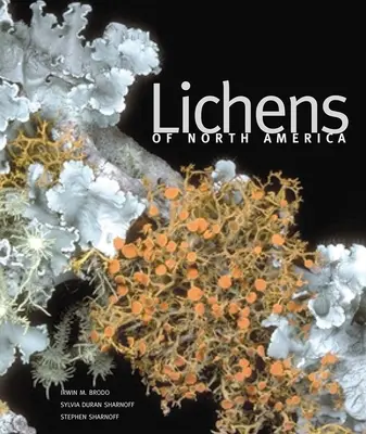 Lichenii din America de Nord - Lichens of North America