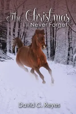 Crăciunul pe care nu-l voi uita niciodată - The Christmas I'll Never Forget
