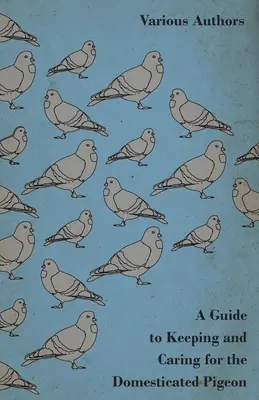 Un ghid pentru creșterea și îngrijirea porumbeilor domestici - A Guide to Keeping and Caring for the Domesticated Pigeon