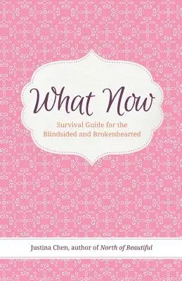What Now: Ghid de supraviețuire pentru cei orbiți și cu inima frântă - What Now: Survival Guide for the Blindsided and Brokenhearted