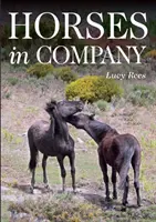 Cai în companie - Horses in Company