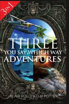 Trei aventuri pe care le spui în ce direcție - Three You Say Which Way Adventures