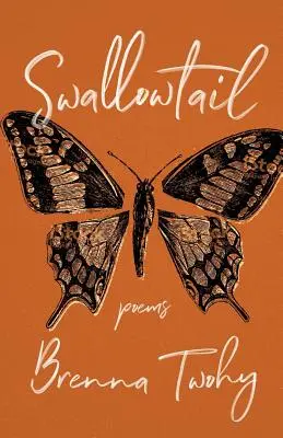 Coada de rândunică - Swallowtail