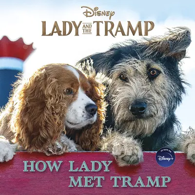 Doamna și vagabondul: Cum l-a întâlnit doamna pe vagabond - Lady and the Tramp: How Lady Met Tramp