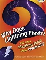 Bug Club Independent Non Fiction Anul 4 Grey A Why Does Lightning Flash - Bug Club Independent Non Fiction Year 4 Grey A Why Does Lightning Flash