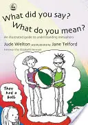 What Did You Say? Ce vrei să spui?: Un ghid ilustrat pentru înțelegerea metaforelor - What Did You Say? What Do You Mean?: An Illustrated Guide to Understanding Metaphors