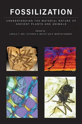 Fossilizarea: Înțelegerea naturii materiale a plantelor și animalelor antice - Fossilization: Understanding the Material Nature of Ancient Plants and Animals