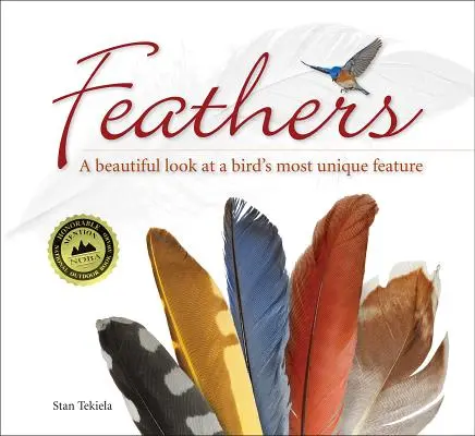 Pene: O privire frumoasă asupra celei mai unice trăsături a unei păsări - Feathers: A Beautiful Look at a Bird's Most Unique Feature