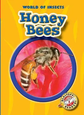 Albinele de miere - Honey Bees