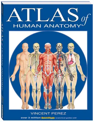 Atlas de anatomie umană - Atlas of Human Anatomy