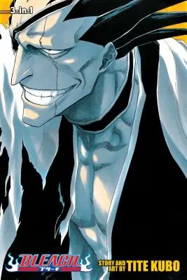 Bleach, Volumele 13-15 - Bleach, Volumes 13-15