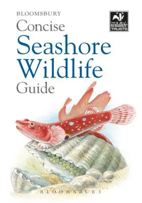 Ghid concis al faunei de pe malul mării - Concise Seashore Wildlife Guide