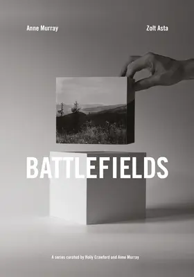 Câmpuri de luptă - Battlefields